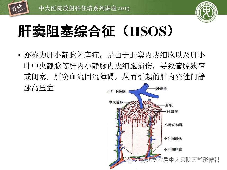 【PPT】肝脏弥漫性病变影像表现