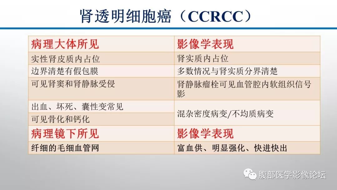 【病例】肾脏孤立性占位影像分析