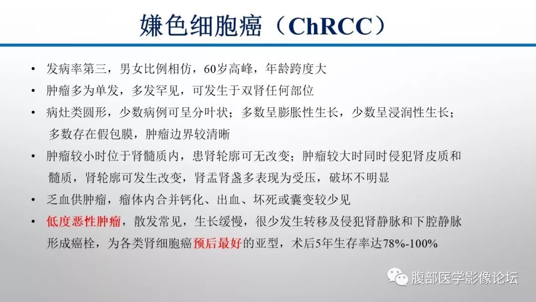 【病例】肾脏孤立性占位影像分析