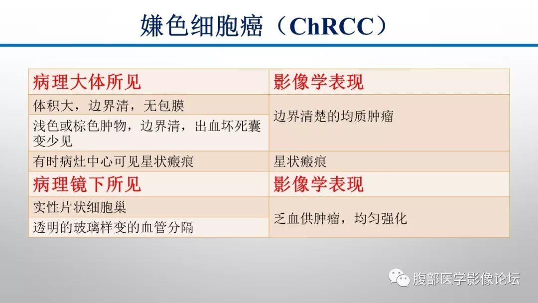 【病例】肾脏孤立性占位影像分析