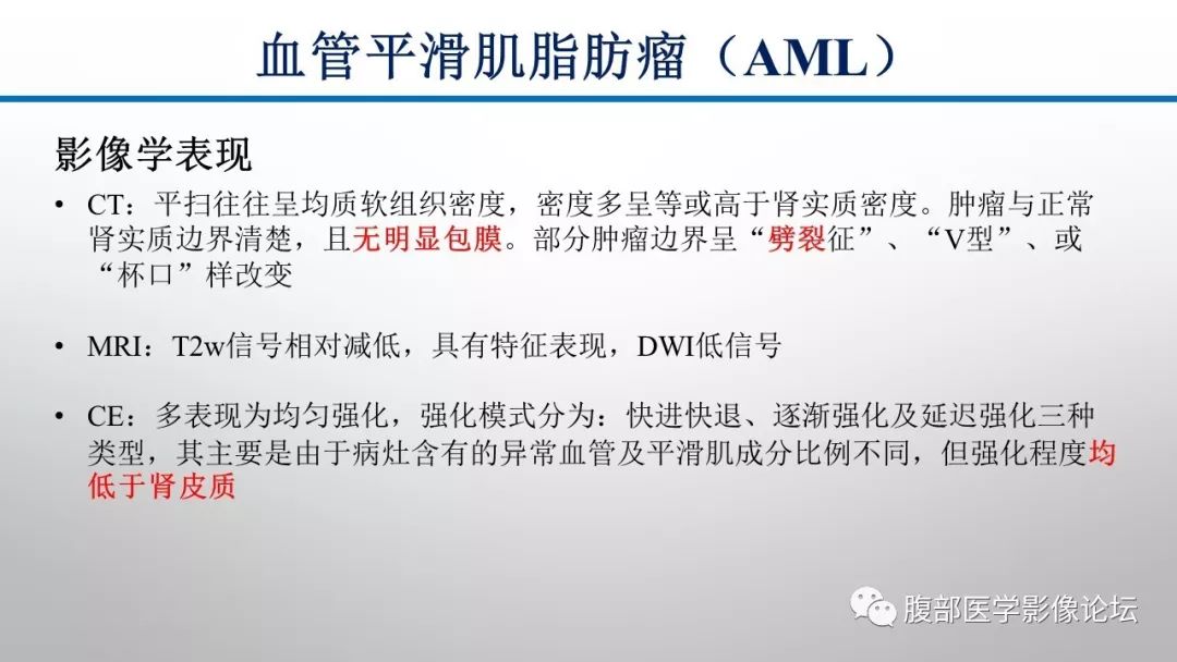 【病例】肾脏孤立性占位影像分析