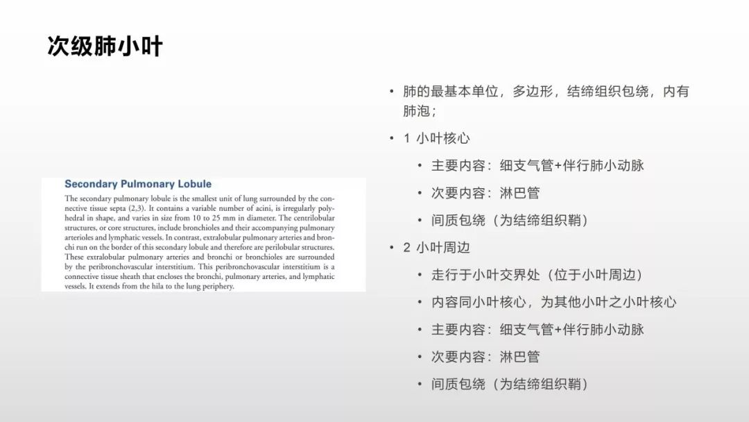 影像病理——COVID-19新型冠状病毒肺炎的“三字经”(附高清病例) 影像病理——COVID-19新型冠状病毒肺炎的“三字经”(附高清病例)