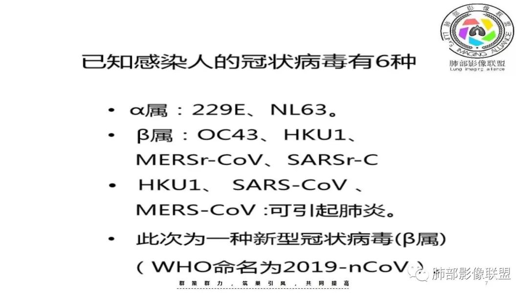 【PPT】病毒性肺炎影像诊断