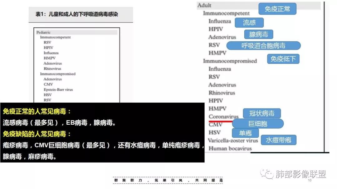 【PPT】病毒性肺炎影像诊断