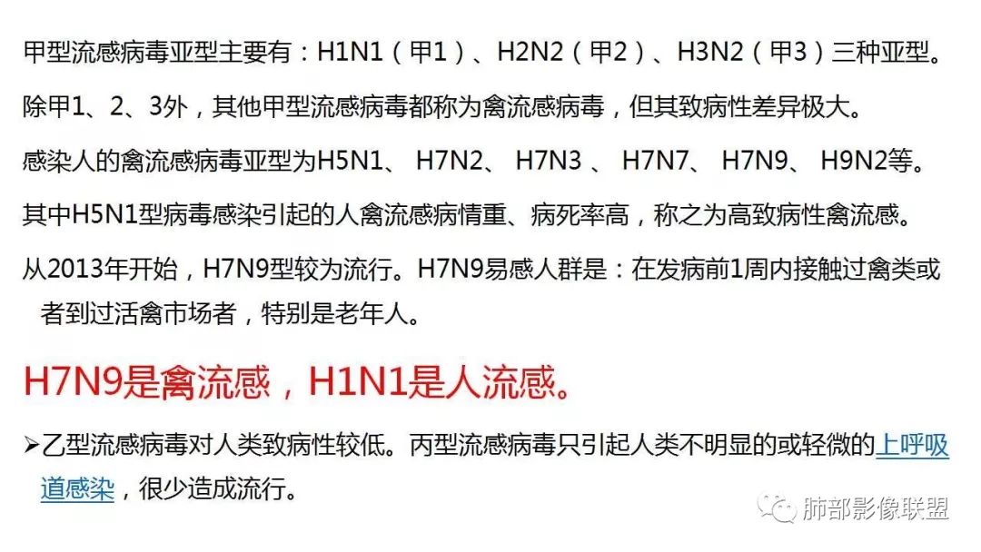 【PPT】病毒性肺炎影像诊断