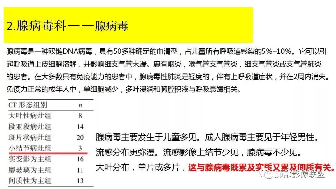【PPT】病毒性肺炎影像诊断