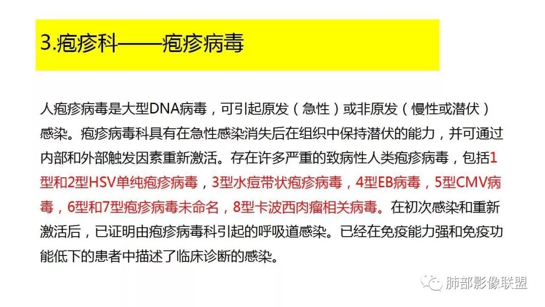 【PPT】病毒性肺炎影像诊断