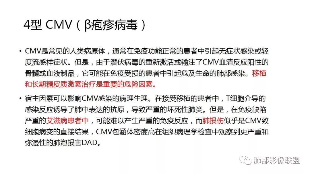 【PPT】病毒性肺炎影像诊断