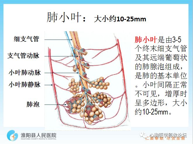 【PPT】新型冠状病毒肺炎