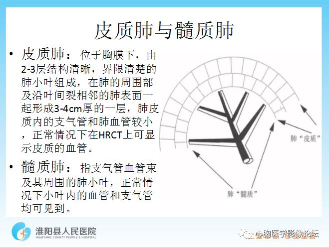 【PPT】新型冠状病毒肺炎