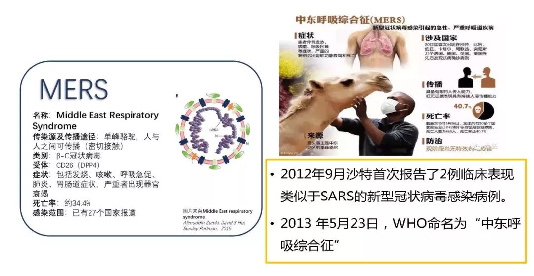 【PPT】以史为鉴，以影为鉴--COVID-19CT诊断、鉴别诊断与思考