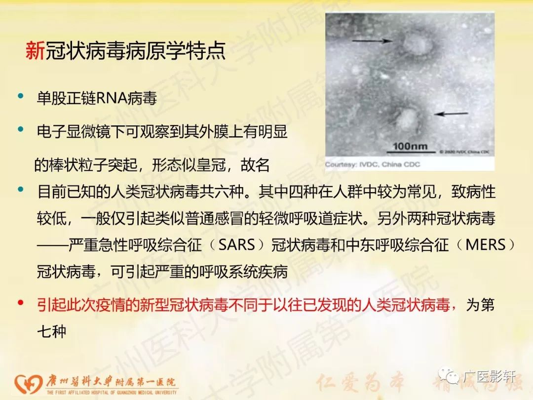 【PPT】新型冠状病毒肺炎影像学特点