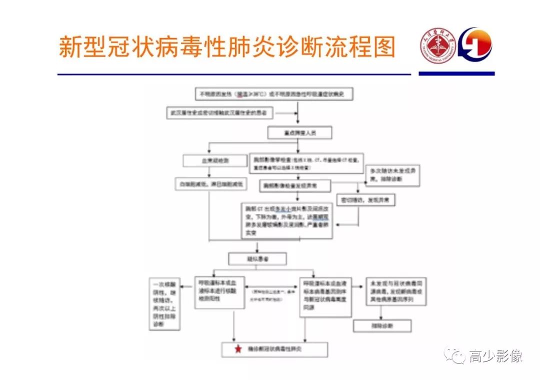 【PPT】新冠状病毒肺炎指南解读及四例影像学表现初步总结