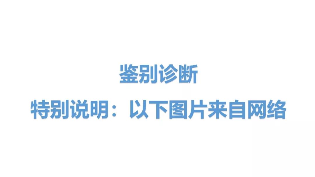 【PPT】新型冠状病毒肺炎NCP确诊病例汇总