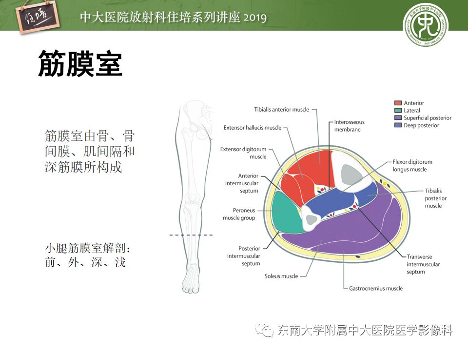 【PPT】创伤性肌肉病变的MR诊断