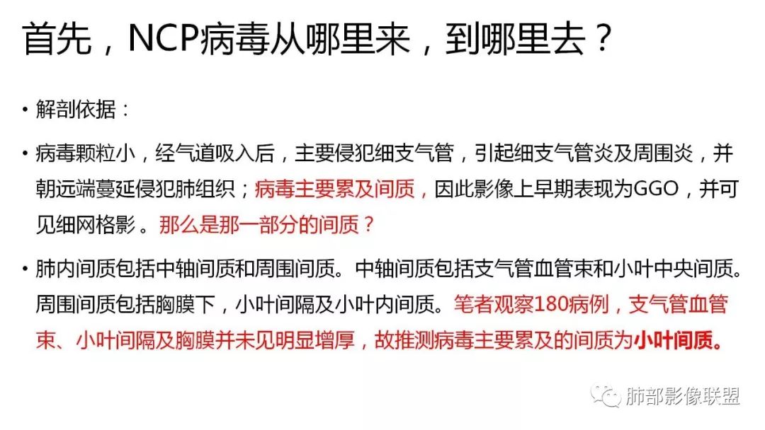 【PPT】南边团队180例NCP新型冠状病毒肺炎总结