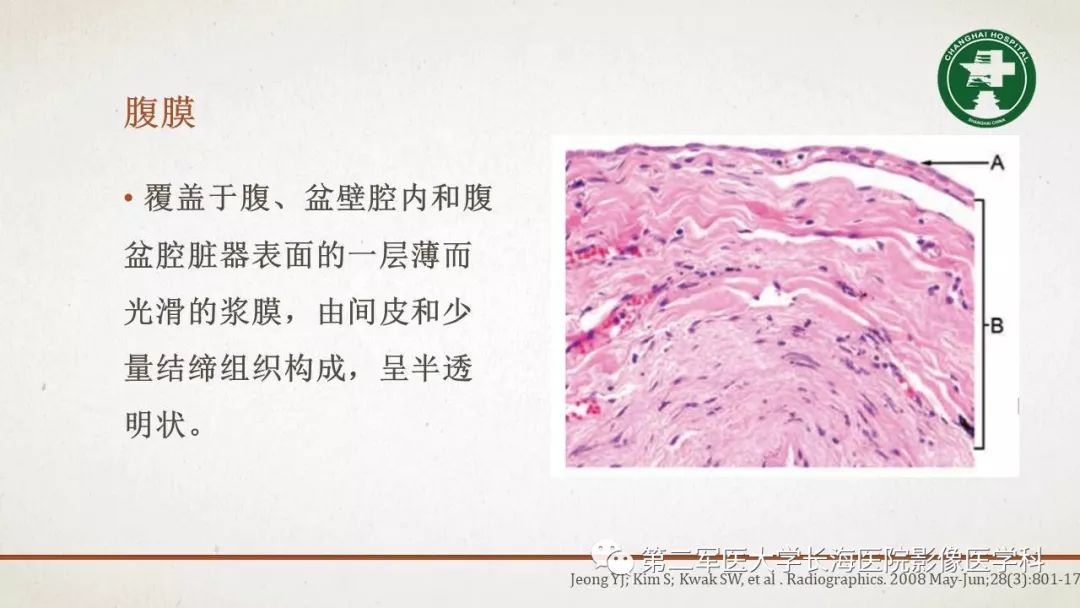 【PPT】腹膜相关结构的影像解剖