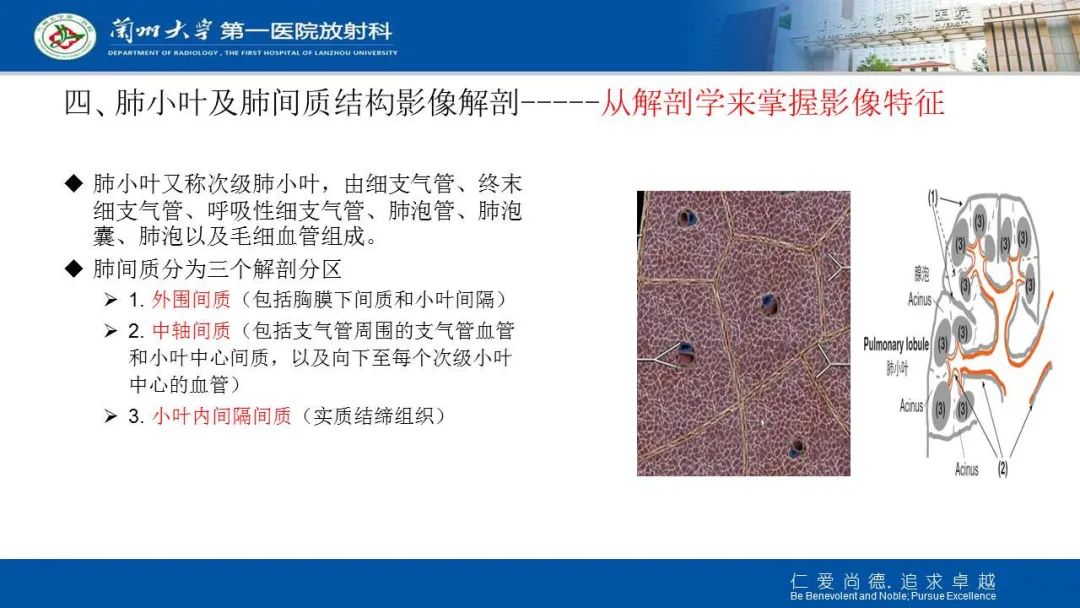 【PPT】新冠肺炎（COVID-19，SARS-CoV2）学习