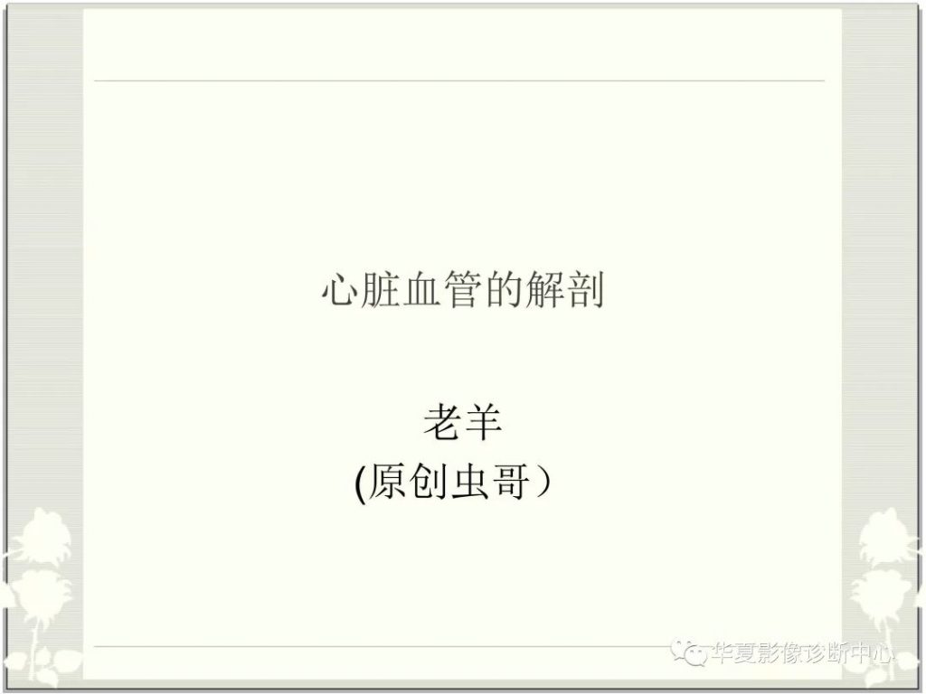 【PPT】心脏血管的解剖