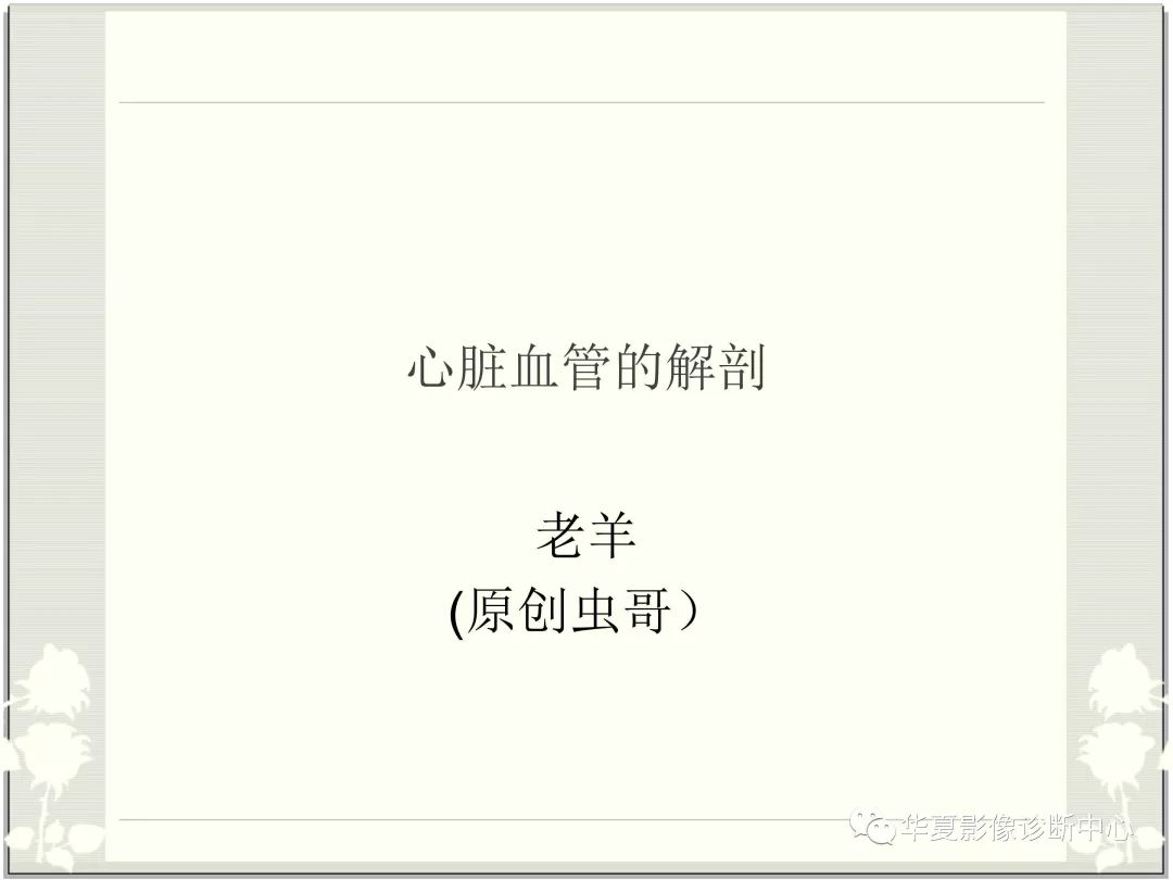 【PPT】心脏血管的解剖