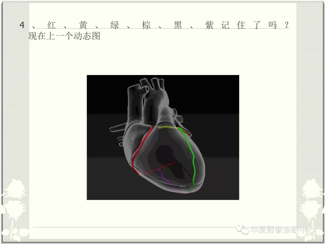 【PPT】心脏血管的解剖