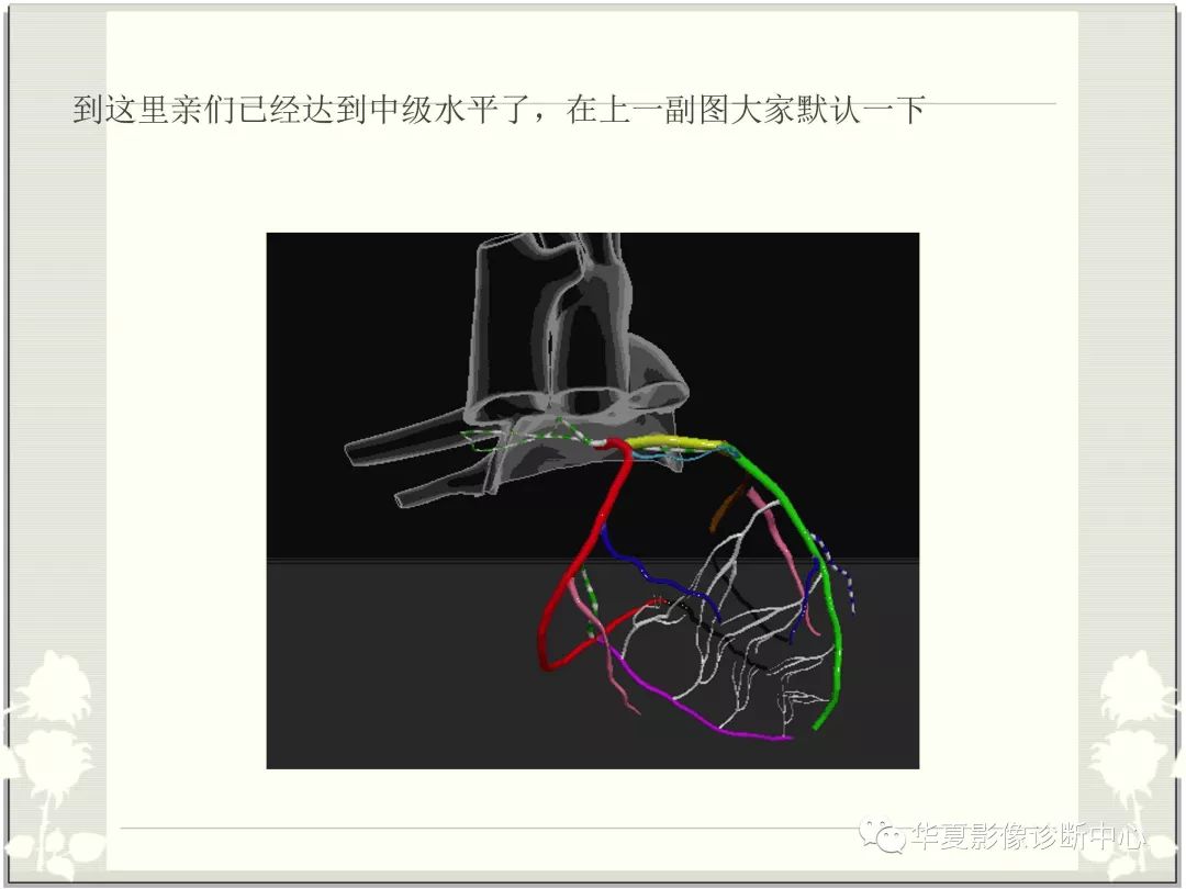 【PPT】心脏血管的解剖