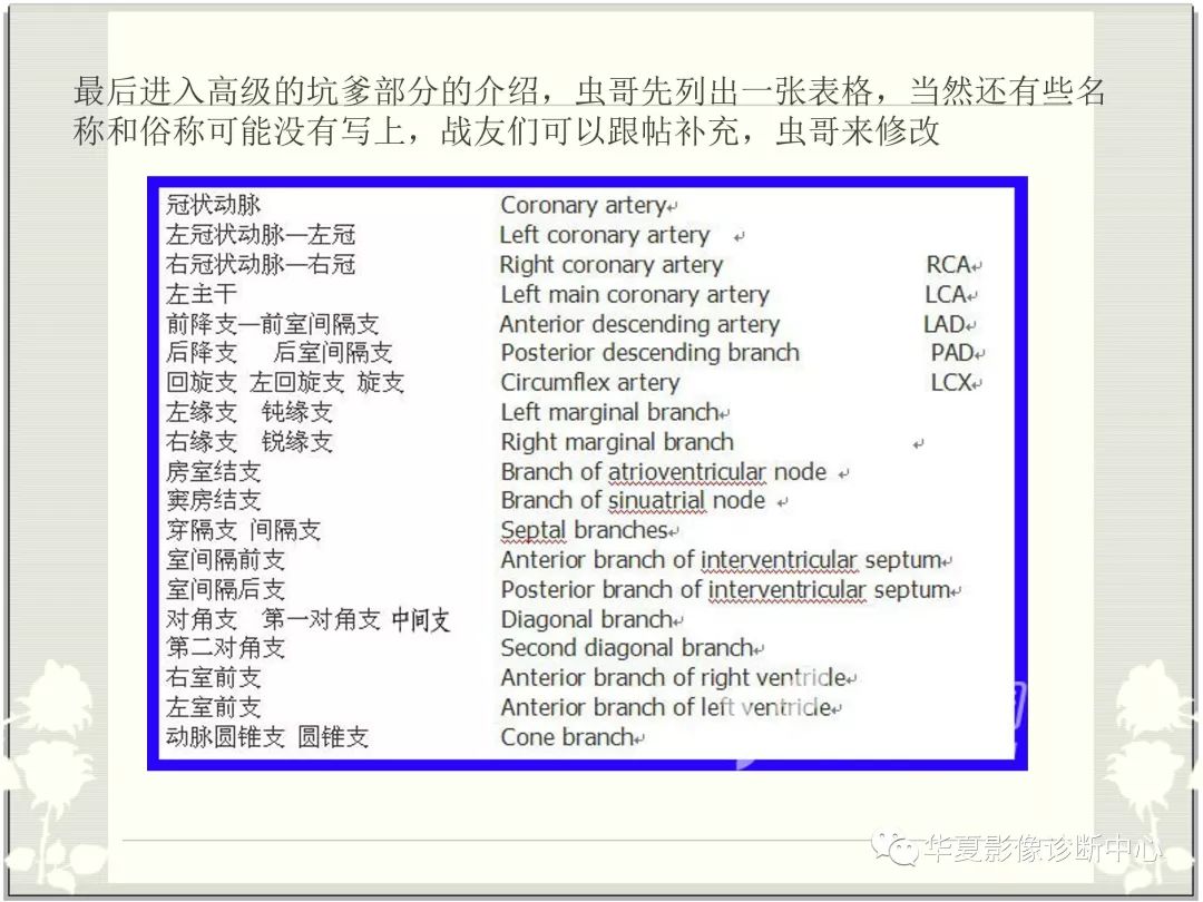 【PPT】心脏血管的解剖