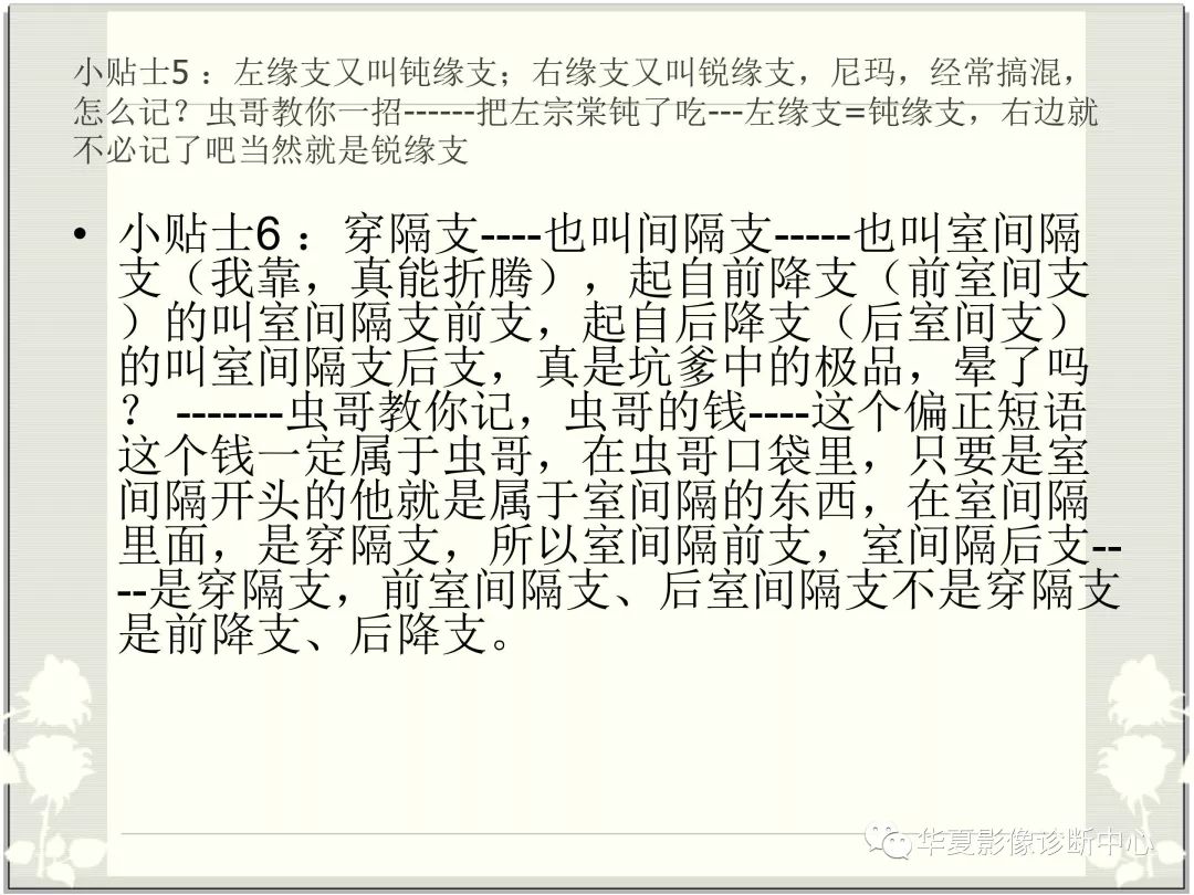【PPT】心脏血管的解剖