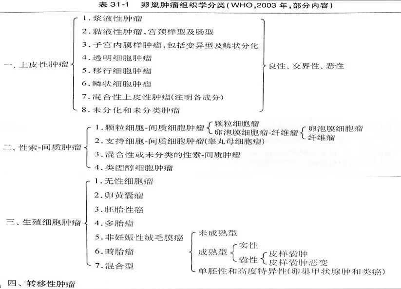 女性盆腔附件解剖及其常见肿瘤的影像表现 女性盆腔附件解剖及其常见肿瘤的影像表现
