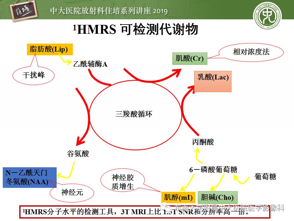 【PPT】从临床应用操作解析磁共振序列