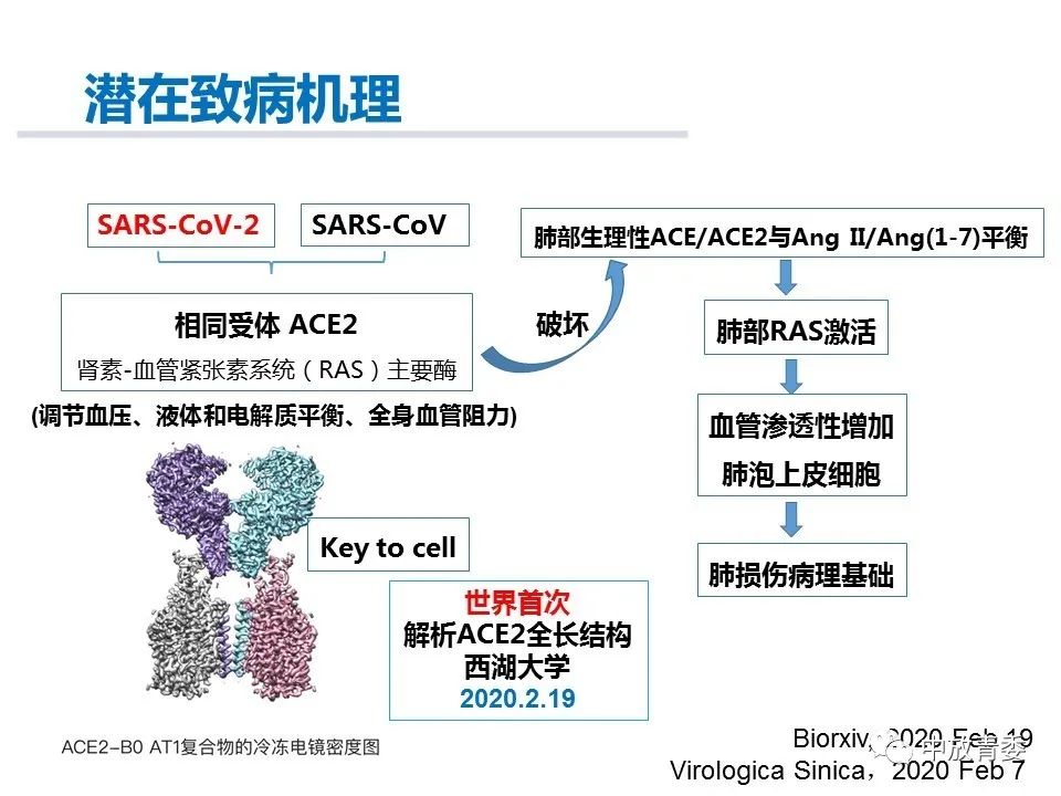 【PPT】COVID-19影像表现及研究进展