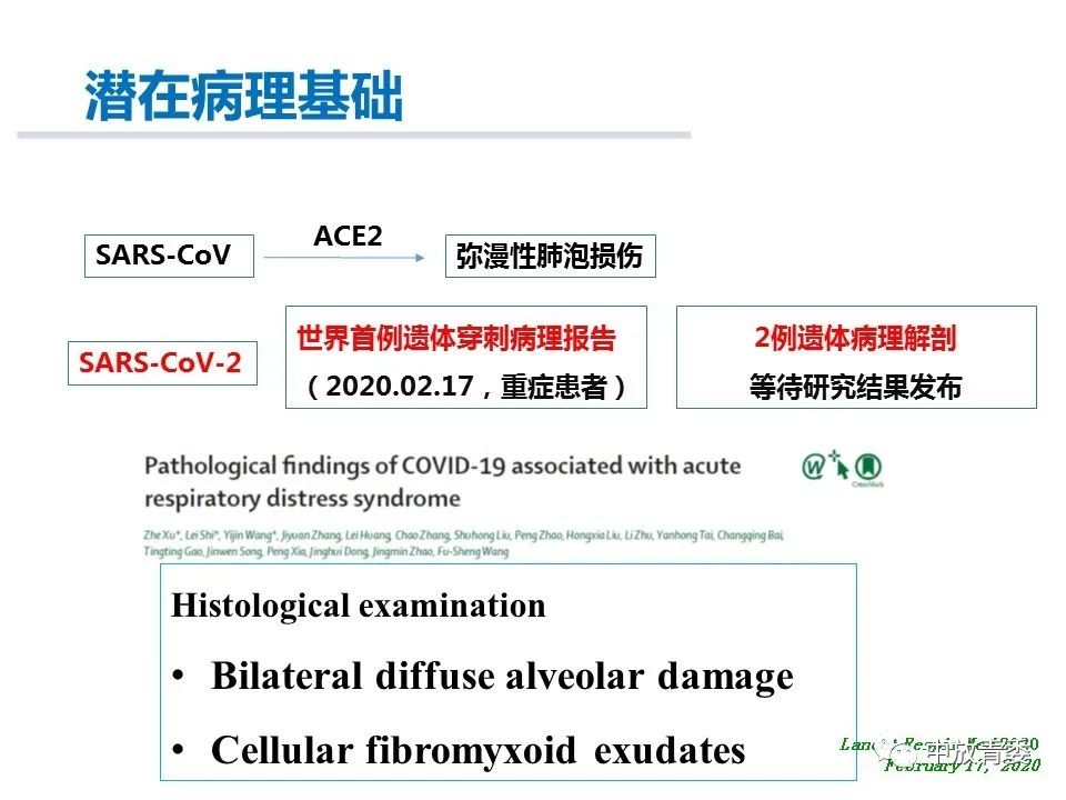 【PPT】COVID-19影像表现及研究进展