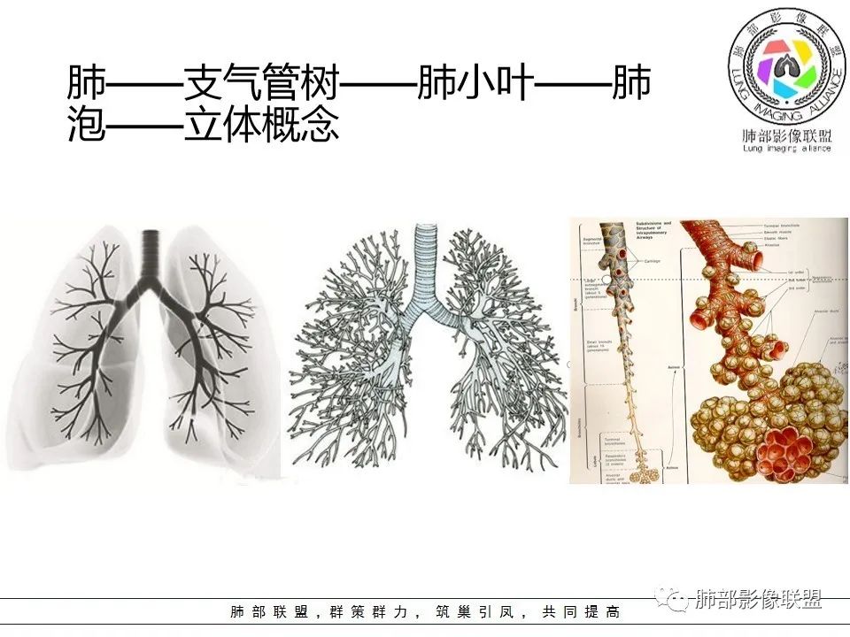 【PPT】如何快速掌握新冠肺炎(NCP)的影像识别? 【PPT】如何快速掌握新冠肺炎(NCP)的影像识别?