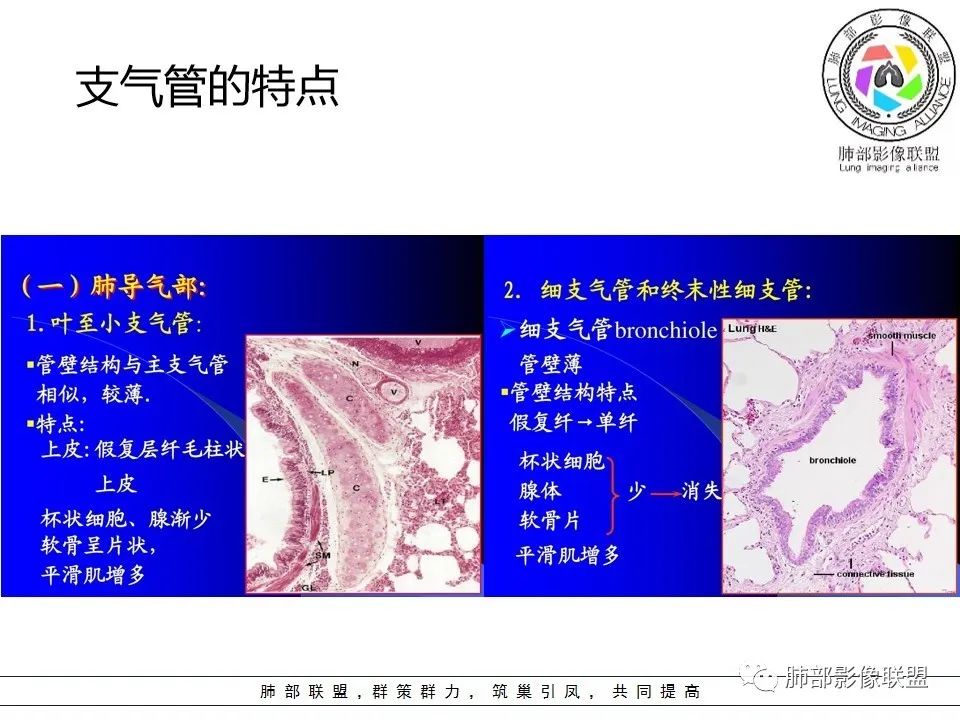 【PPT】如何快速掌握新冠肺炎(NCP)的影像识别? 【PPT】如何快速掌握新冠肺炎(NCP)的影像识别?