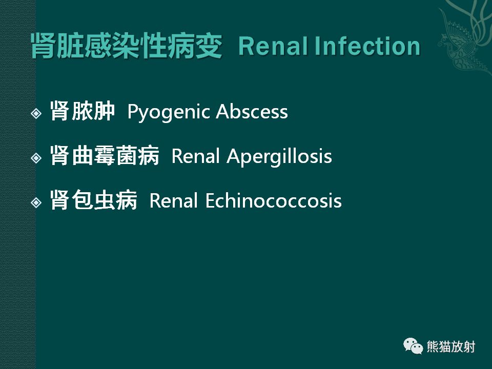 【PPT】肾脏囊性病变的CT及MRI表现