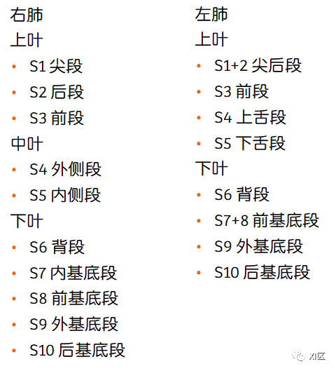 肺部影像解剖 肺部影像解剖