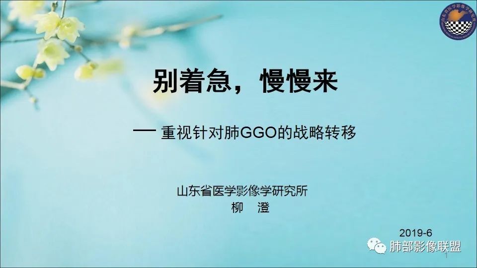 【PPT】重视针对肺GGO的战略转移