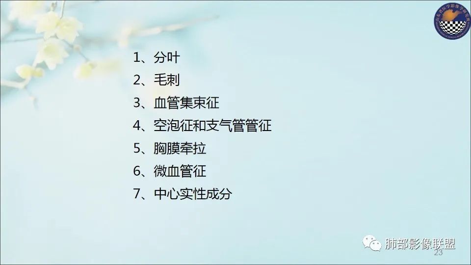 【PPT】重视针对肺GGO的战略转移