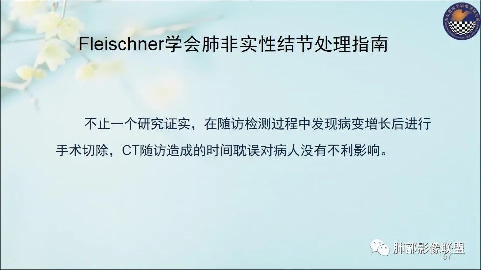 【PPT】重视针对肺GGO的战略转移