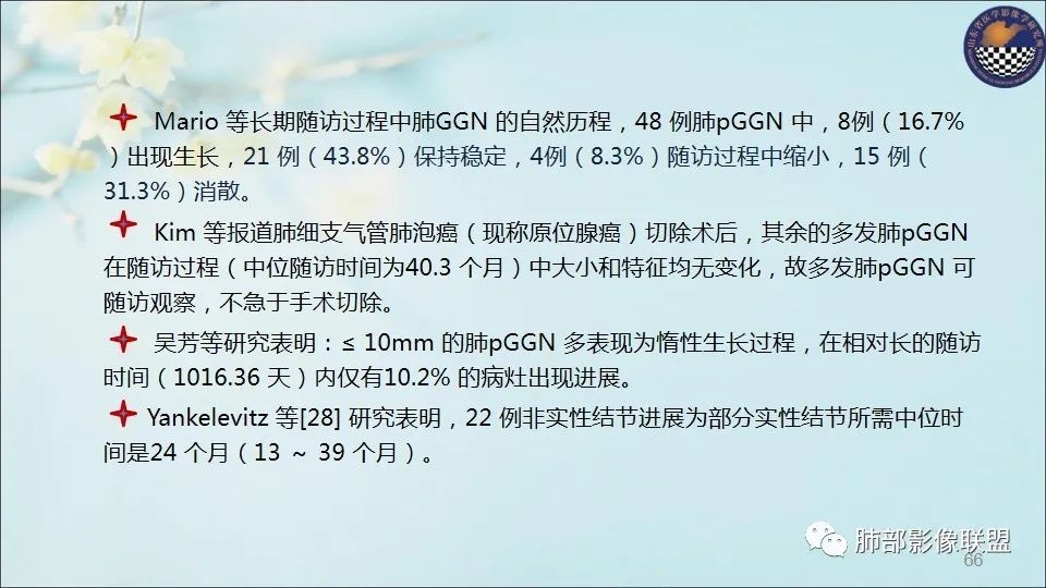 【PPT】重视针对肺GGO的战略转移