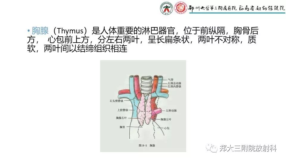 【病例】异位胸腺1例CT影像