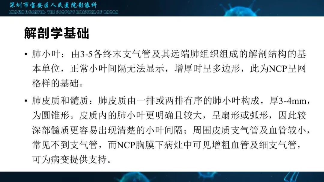 【PPT】输入性新型冠状病毒肺炎早期CT表现