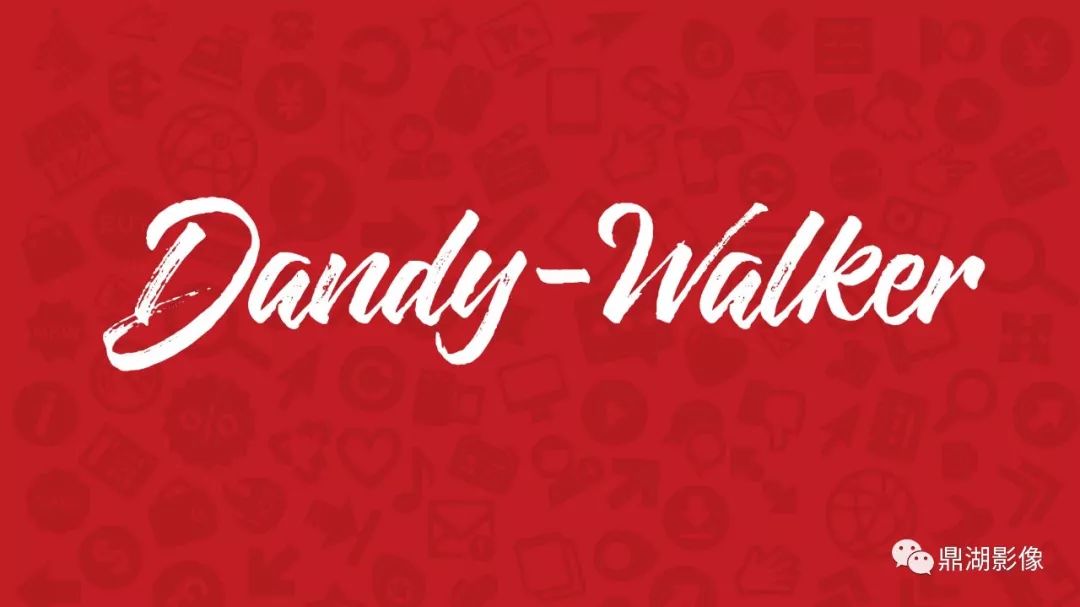 【PPT】DANDY-WALKER