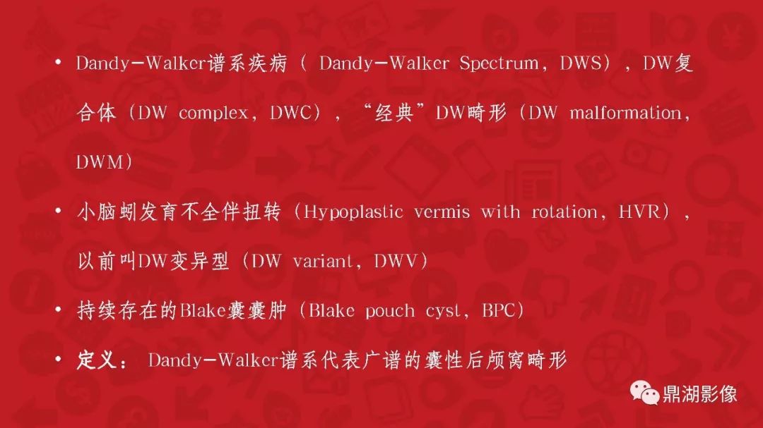 【PPT】DANDY-WALKER