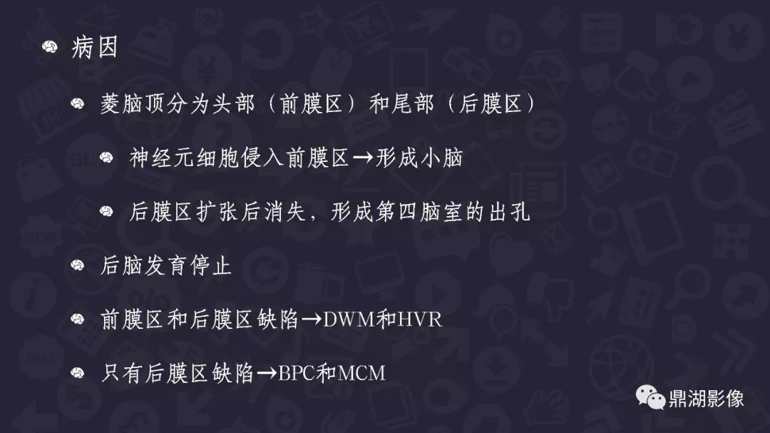 【PPT】DANDY-WALKER