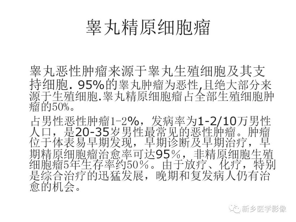 【PPT】睾丸精原细胞瘤
