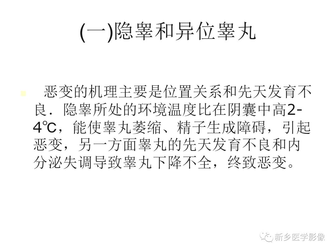 【PPT】睾丸精原细胞瘤