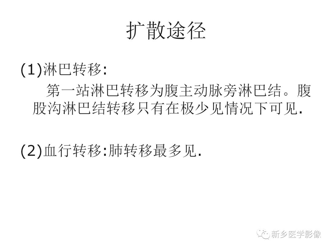 【PPT】睾丸精原细胞瘤