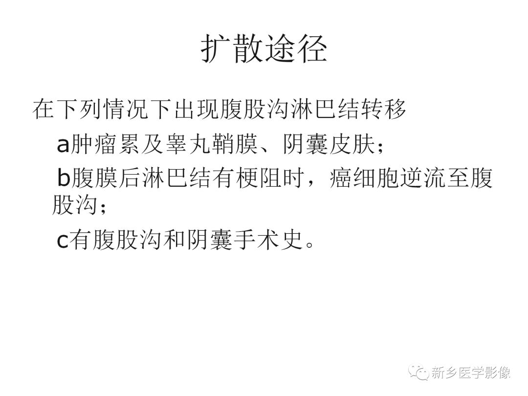 【PPT】睾丸精原细胞瘤