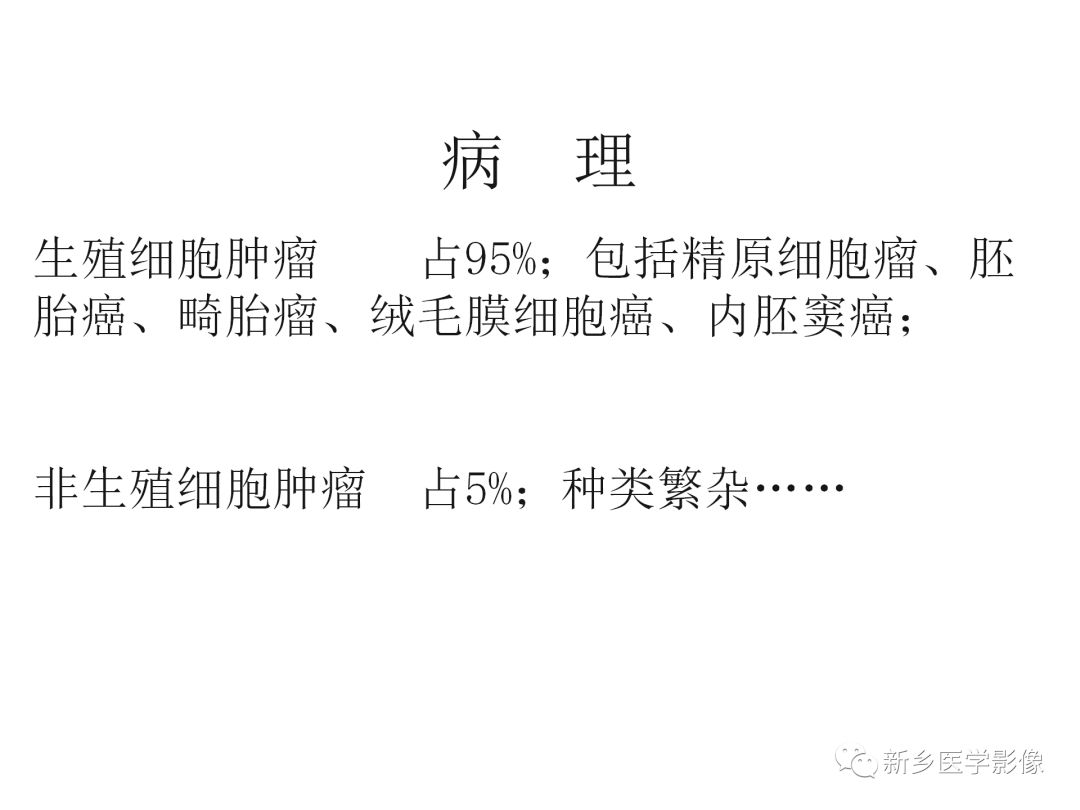 【PPT】睾丸精原细胞瘤